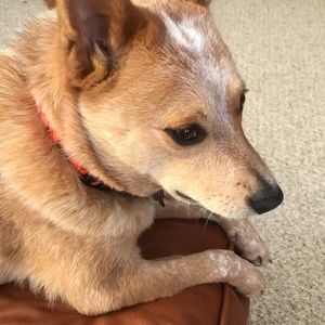 Meet your Posher, Mary emily